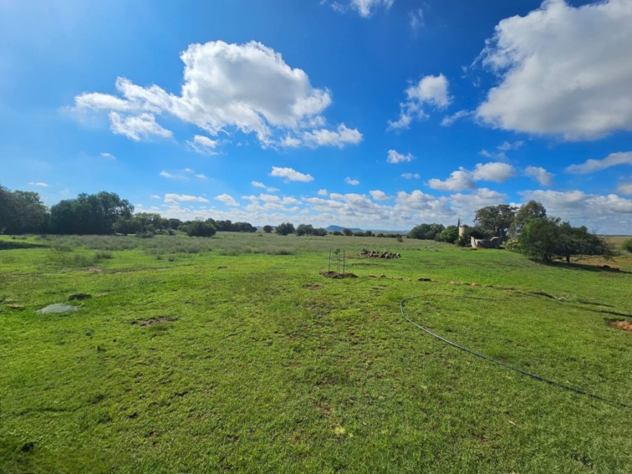 4 Bedroom Property for Sale in Bloemfontein Rural Free State